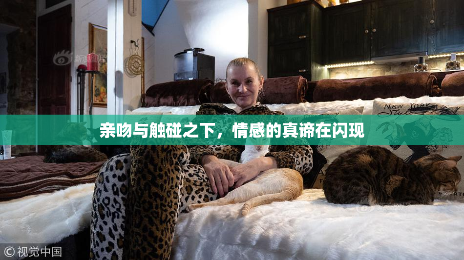 亲吻与触碰之下，情感的真谛在闪现