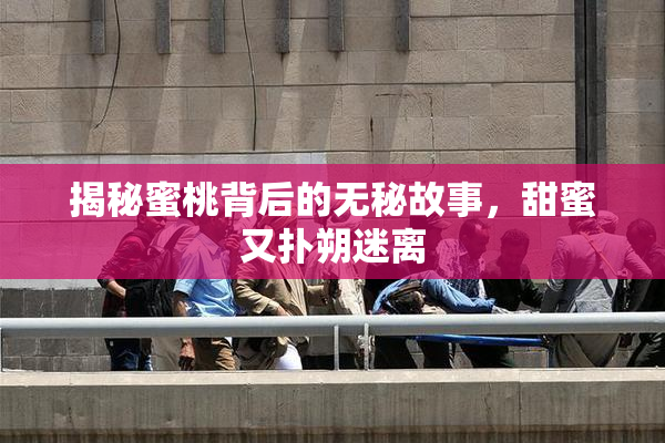 揭秘蜜桃背后的无秘故事，甜蜜又扑朔迷离