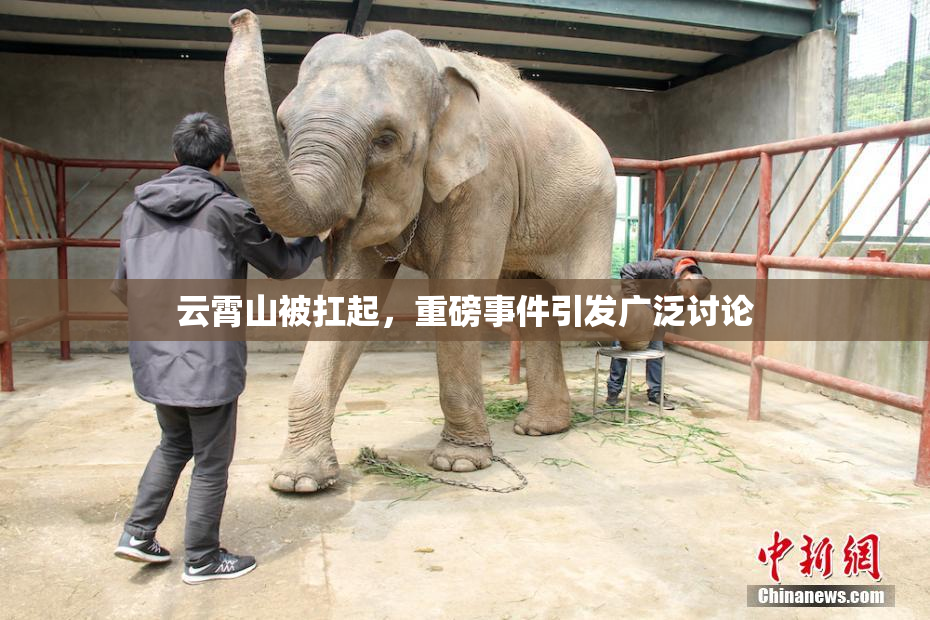 云霄山被扛起，重磅事件引发广泛讨论
