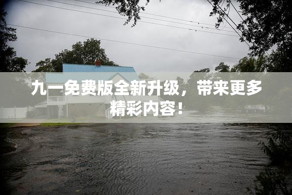 九一免费版全新升级，带来更多精彩内容！