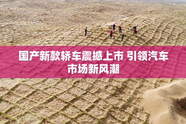 国产新款轿车震撼上市 引领汽车市场新风潮