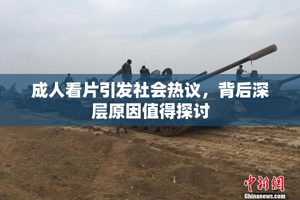 成人看片引发社会热议，背后深层原因值得探讨