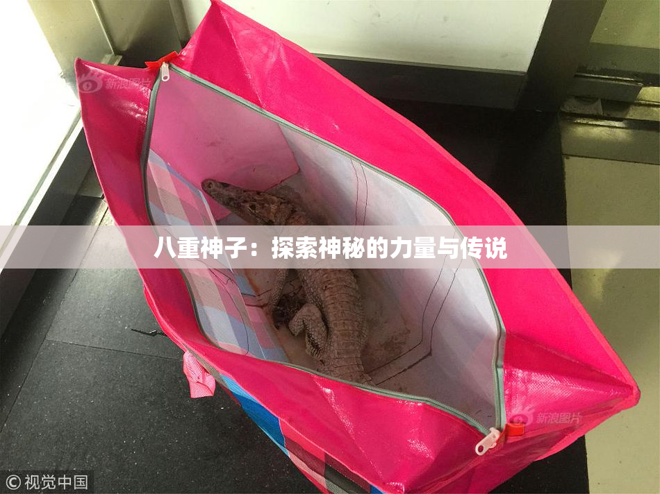 八重神子：探索神秘的力量与传说