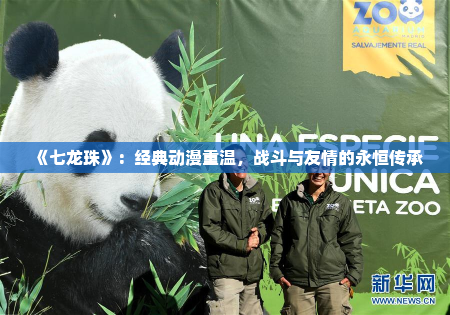 《七龙珠》：经典动漫重温，战斗与友情的永恒传承