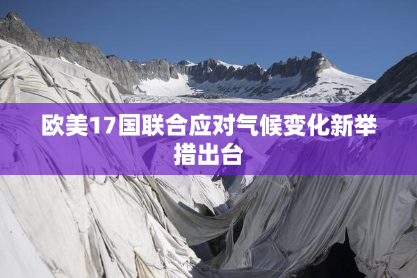 欧美17国联合应对气候变化新举措出台
