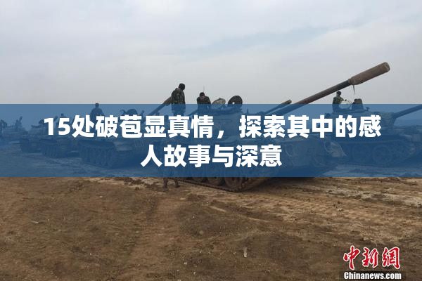 15处破苞显真情，探索其中的感人故事与深意