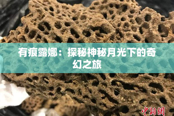 有痕露娜：探秘神秘月光下的奇幻之旅