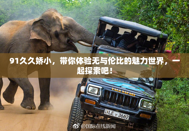 91久久娇小，带你体验无与伦比的魅力世界，一起探索吧！