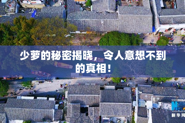 少萝的秘密揭晓，令人意想不到的真相！