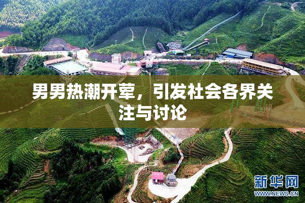 男男热潮开荤，引发社会各界关注与讨论