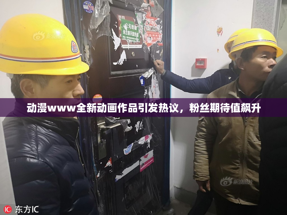 动漫www全新动画作品引发热议，粉丝期待值飙升
