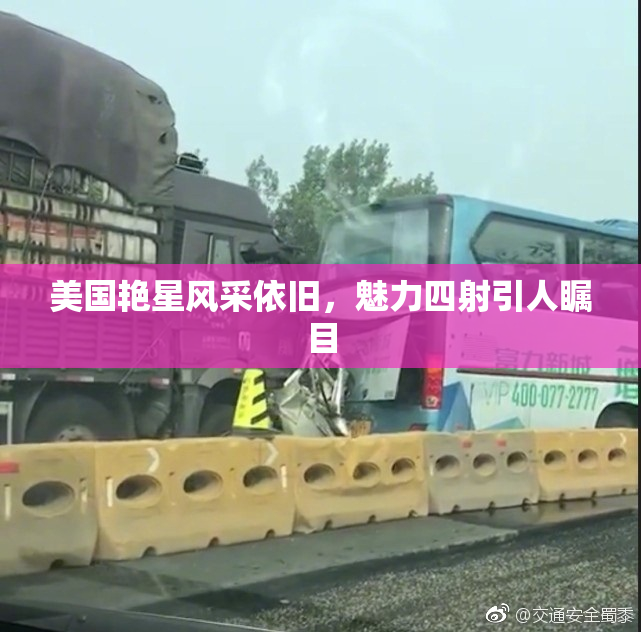 美国艳星风采依旧，魅力四射引人瞩目