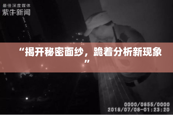 “揭开秘密面纱，跪着分析新现象”
