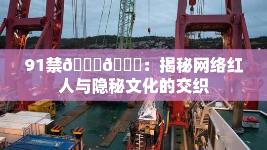 91禁🍆🍑：揭秘网络红人与隐秘文化的交织
