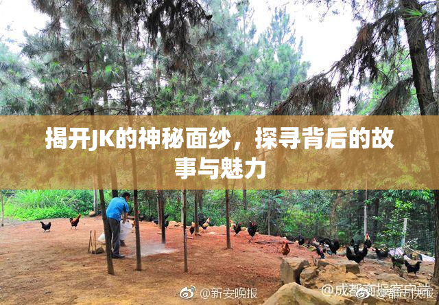 揭开JK的神秘面纱，探寻背后的故事与魅力