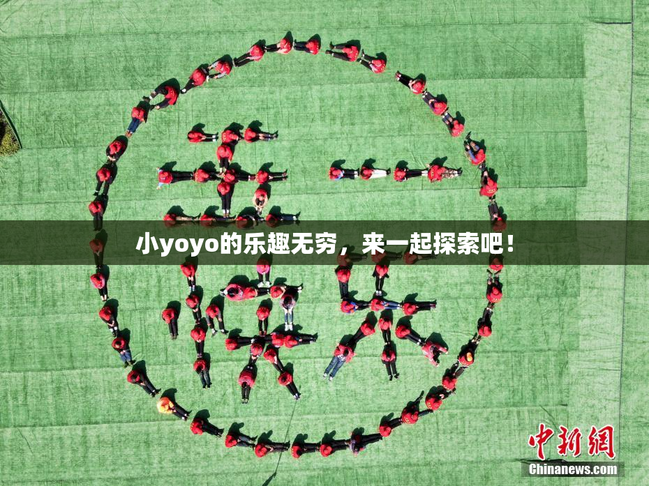 小yoyo的乐趣无穷，来一起探索吧！
