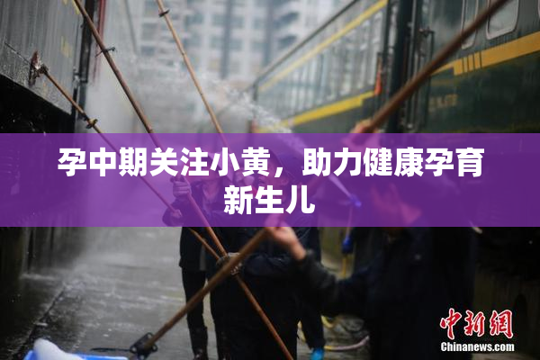 孕中期关注小黄，助力健康孕育新生儿