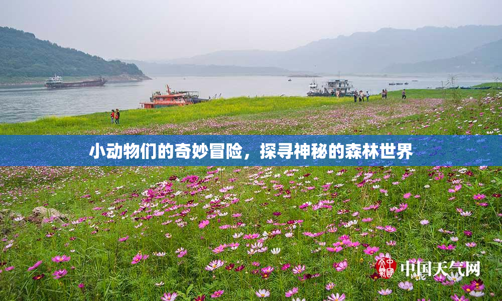 小动物们的奇妙冒险，探寻神秘的森林世界