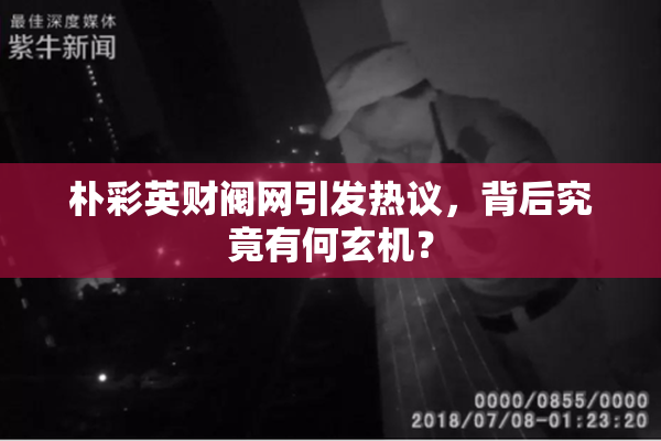 朴彩英财阀网引发热议，背后究竟有何玄机？