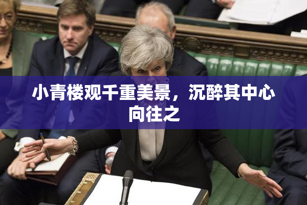 小青楼观千重美景，沉醉其中心向往之