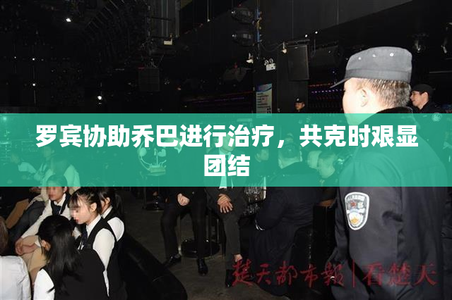 罗宾协助乔巴进行治疗，共克时艰显团结