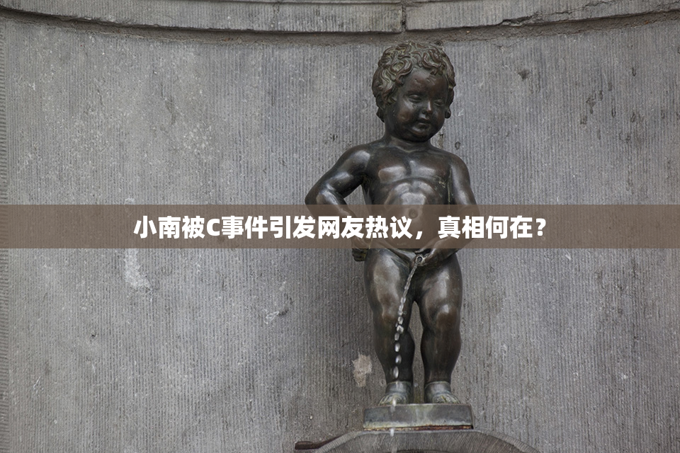 小南被C事件引发网友热议，真相何在？