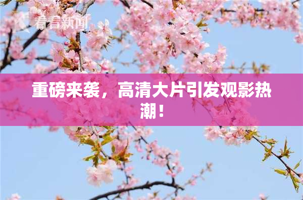 重磅来袭，高清大片引发观影热潮！