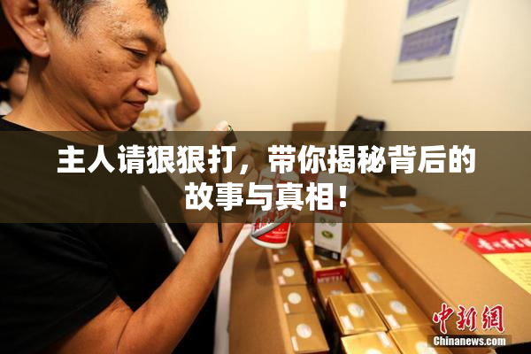 主人请狠狠打，带你揭秘背后的故事与真相！