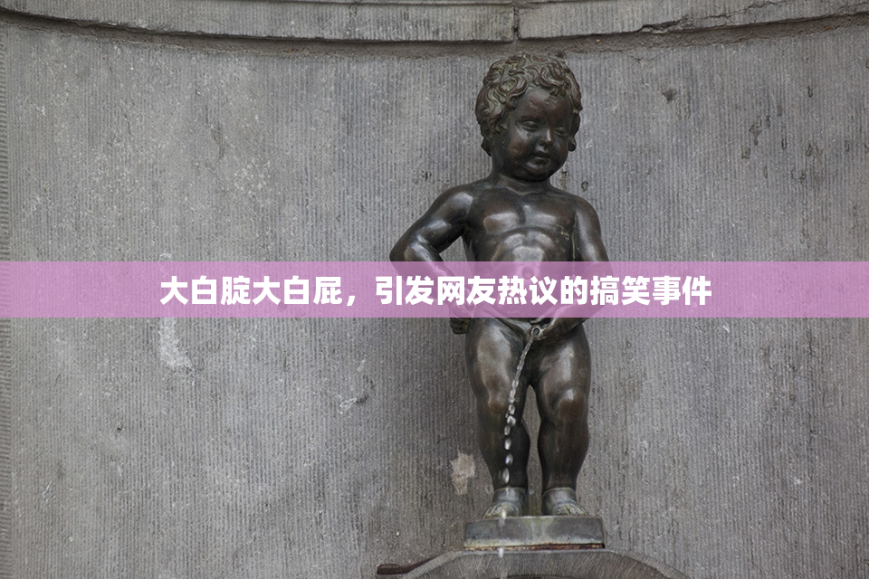 大白腚大白屁，引发网友热议的搞笑事件