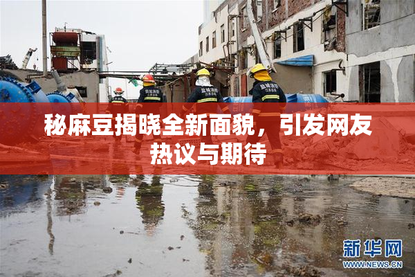 秘麻豆揭晓全新面貌，引发网友热议与期待