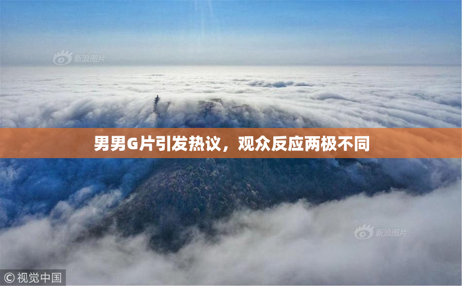 男男G片引发热议，观众反应两极不同