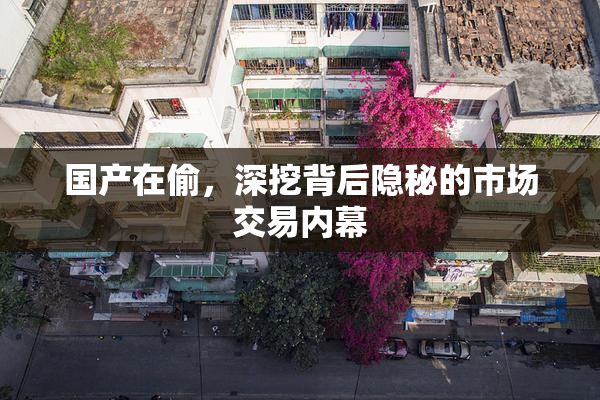 国产在偷，深挖背后隐秘的市场交易内幕