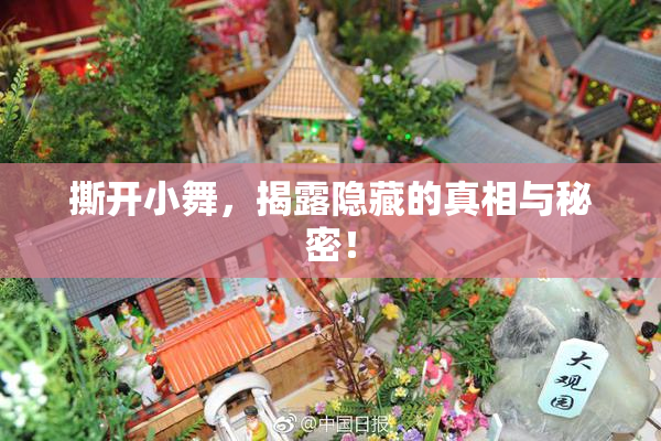 撕开小舞，揭露隐藏的真相与秘密！