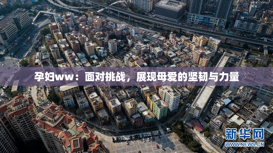 孕妇ww：面对挑战，展现母爱的坚韧与力量