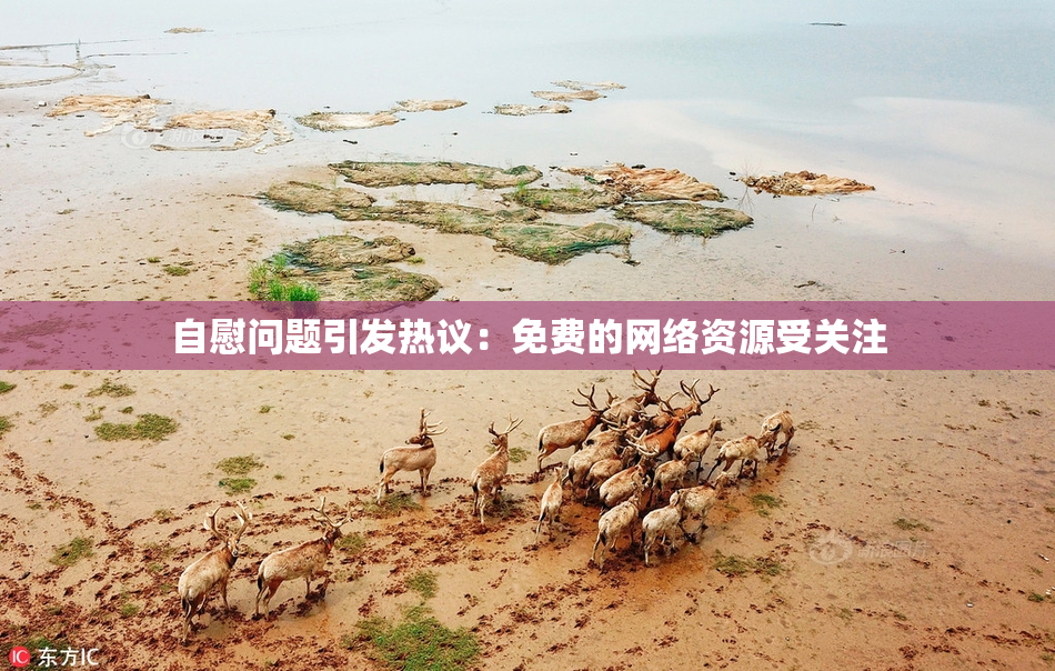 自慰问题引发热议：免费的网络资源受关注