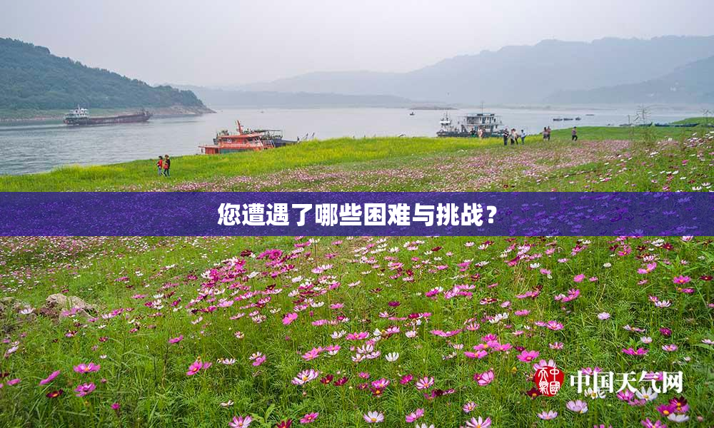 您遭遇了哪些困难与挑战？