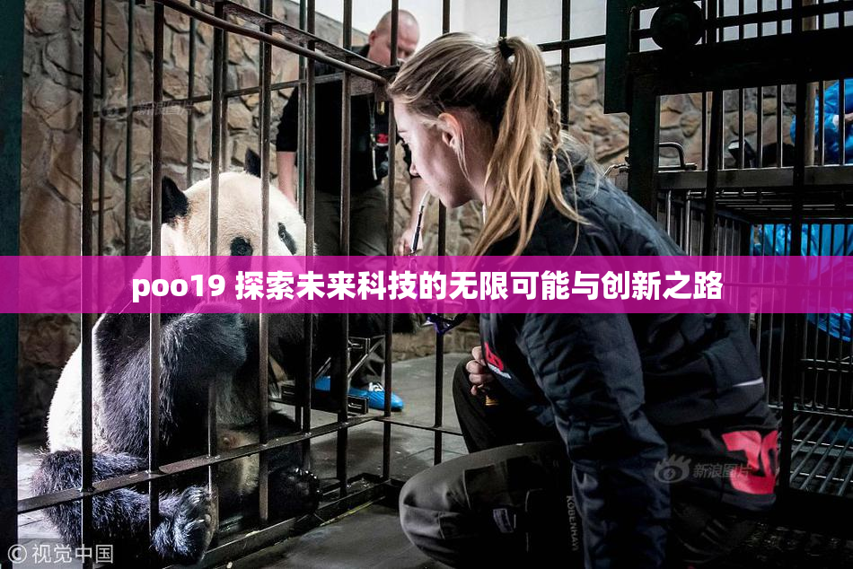 poo19 探索未来科技的无限可能与创新之路