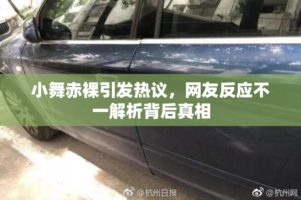 小舞赤裸引发热议，网友反应不一解析背后真相