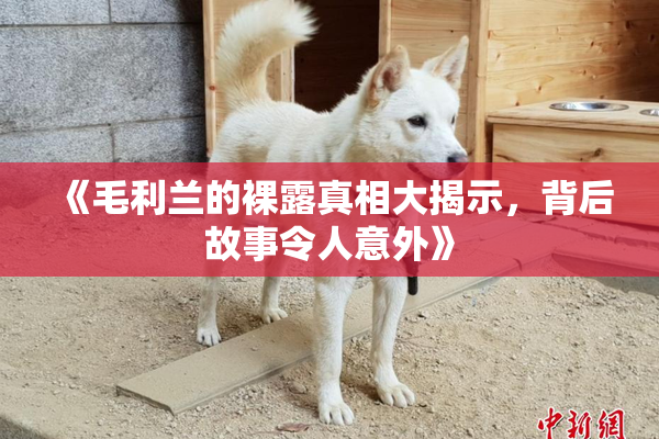 《毛利兰的裸露真相大揭示，背后故事令人意外》