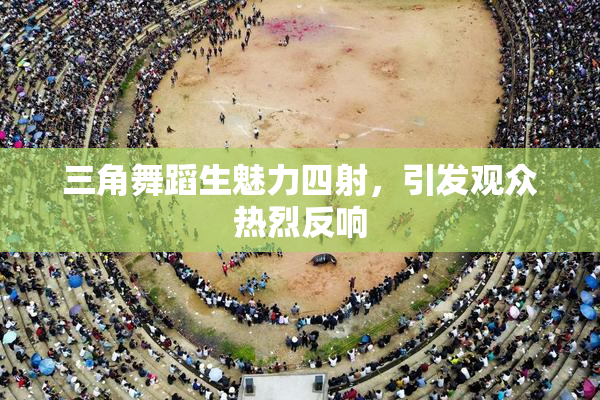三角舞蹈生魅力四射，引发观众热烈反响