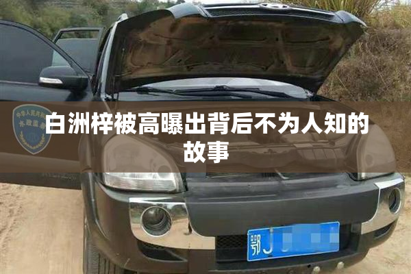白洲梓被高曝出背后不为人知的故事