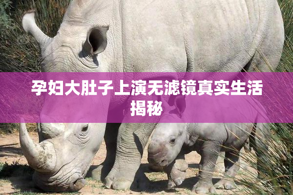 孕妇大肚子上演无滤镜真实生活揭秘