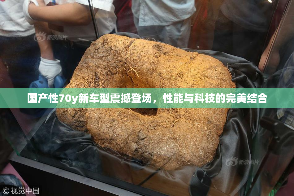 国产性70y新车型震撼登场，性能与科技的完美结合