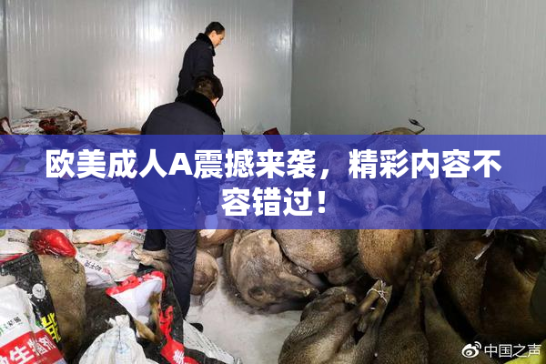 欧美成人A震撼来袭，精彩内容不容错过！