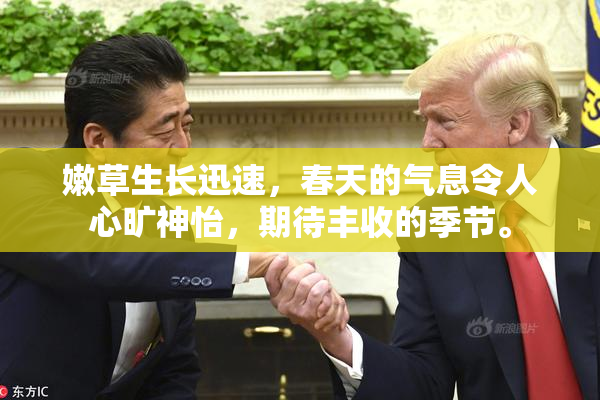嫩草生长迅速，春天的气息令人心旷神怡，期待丰收的季节。