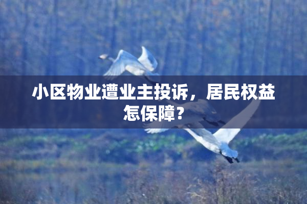 小区物业遭业主投诉，居民权益怎保障？
