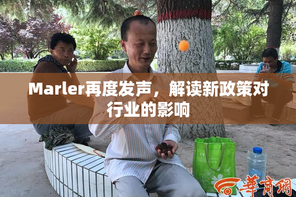 Marler再度发声，解读新政策对行业的影响