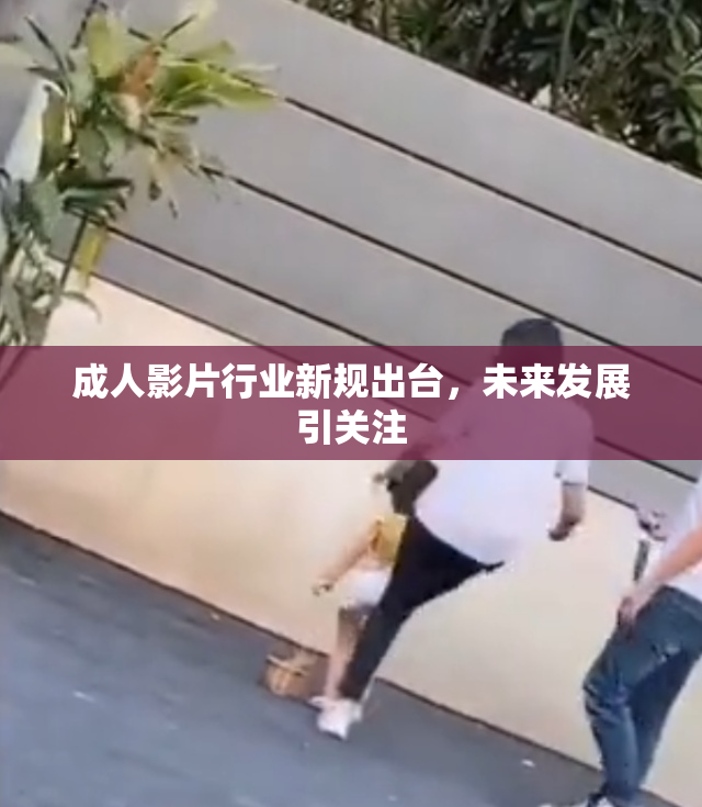 成人影片行业新规出台，未来发展引关注