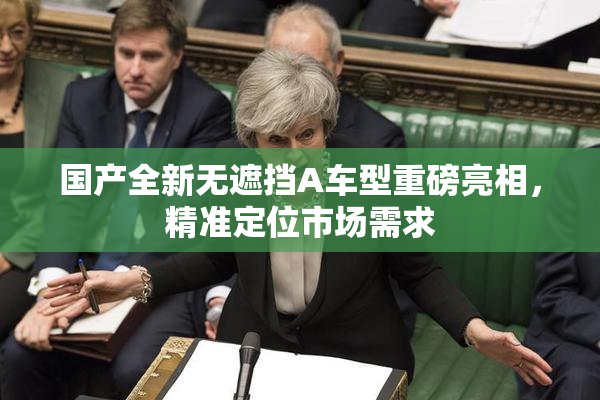 国产全新无遮挡A车型重磅亮相，精准定位市场需求
