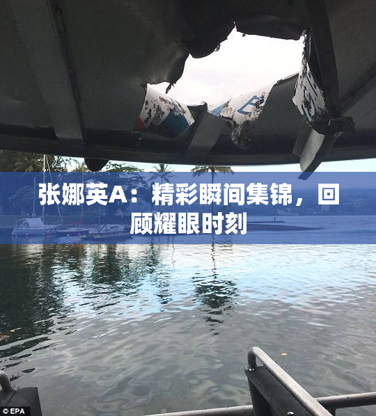 张娜英A：精彩瞬间集锦，回顾耀眼时刻